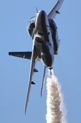A36F2005.jpg
