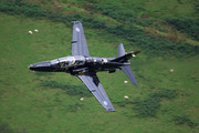 IMG_8884.jpg