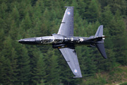 IMG_8888.jpg
