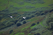 IMG_9111.jpg