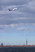 0E0A2698.JPG