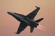 0S9A4477.jpg