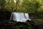 0S9A6016.JPG