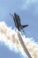 A36F1145.jpg