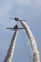 A36F1685.jpg