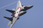 A36F4211.jpg