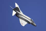 A36F8325.jpg