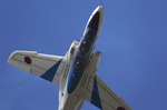 BJ7D2881.jpg