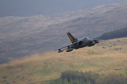 CJ8I0628.jpg