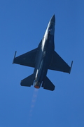 CJ8I1735.JPG