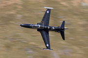 CJ8I2055.jpg
