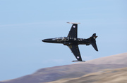 CJ8I2221.jpg