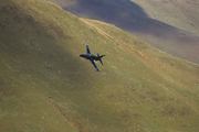 CJ8I2239.jpg