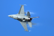 CJ8I2957.JPG