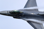 CJ8I3615.JPG