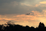 CJ8I4384.JPG