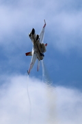 CJ8I4547.JPG