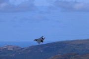 CJ8I6659.JPG