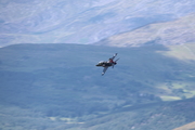 CJ8I6819.JPG