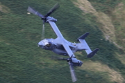CJ8I7053.JPG