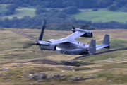CJ8I7121.JPG