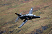 CJ8I7766.JPG