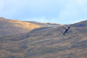 CJ8I7881.JPG