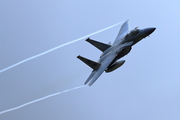 CJ8I7951.JPG