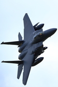 CJ8I8053.JPG