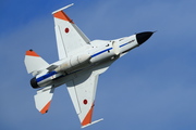 CJ8I8321.JPG