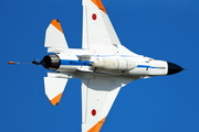 CJ8I8349.JPG