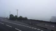 DSC01607.jpg