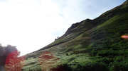 DSC01613.jpg