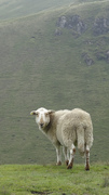 DSC01729.jpg