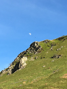 IMG_0997.jpg