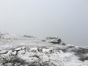 IMG_1605.jpg
