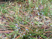 IMG_1879.jpg