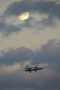 IMG_3481.jpg
