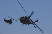 IMG_5536.jpg