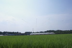 _MG_6172.jpg